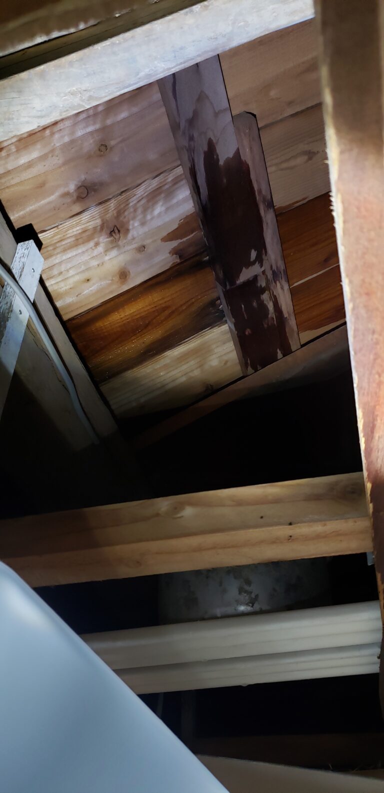 トタン屋根ペンキ塗らなきゃ ４ldk全屋雨漏り